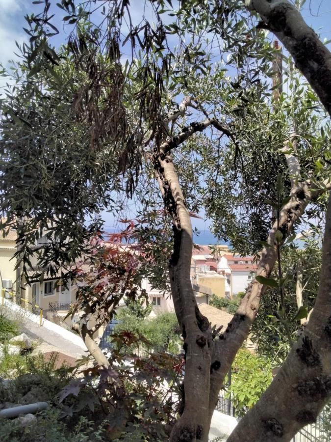 Bungalow Nefeli Agios Gordios (Corfu) Exterior foto